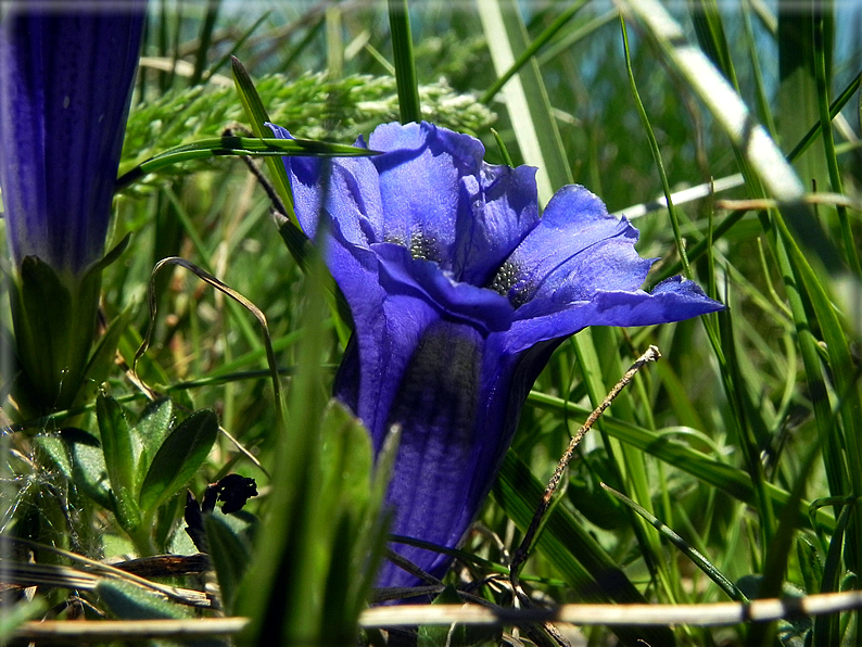 foto Croix Courma 